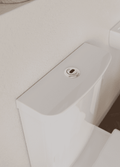 AKW Sensor Flush