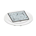AKW Stainless Steel TFWA Waste Adaptor (without trapped waste)